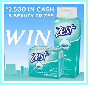 zest-cash-giveaway