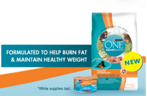 purina-one-cat-food-sample