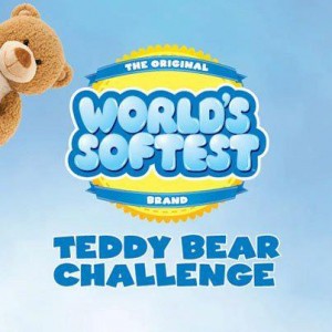 teddy-bear-challenge