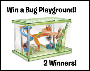 smartlab bug playground