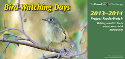 bird-watching-calendar