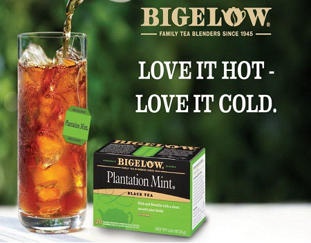 bigelow-mint-tea-sample