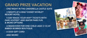 disney cinderella trip