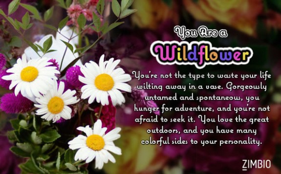 wildflower