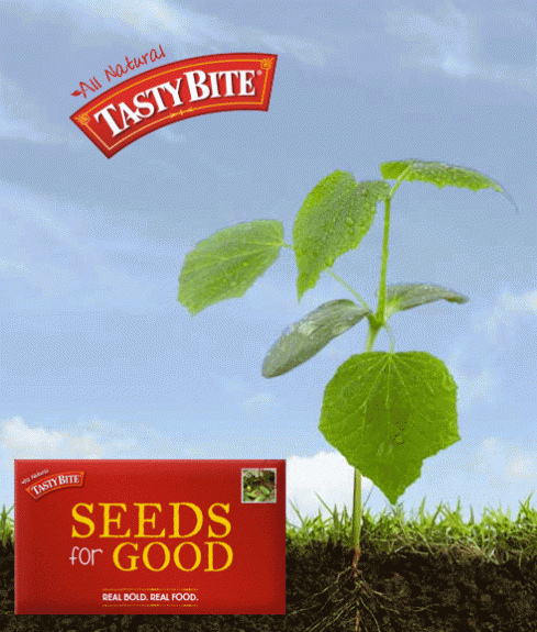Veggie-Seeds