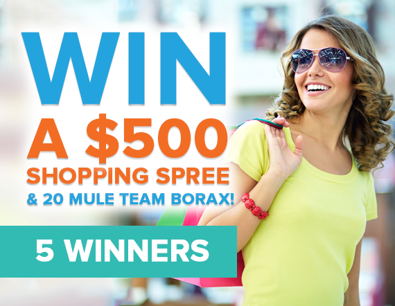 Borax 500 Shopping Spree