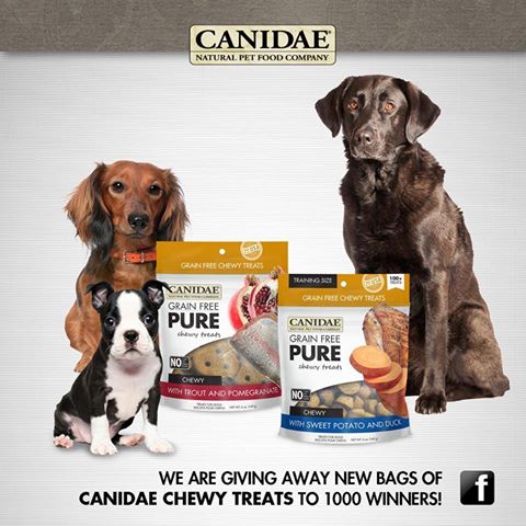 canidae-dog-treats