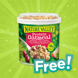 Nature-Valley-Protein-Oatmeal