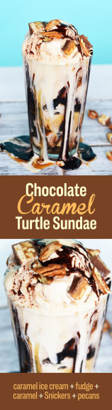 turtle sundae