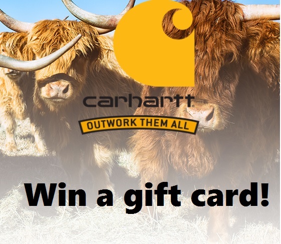 Carhartt-Outwork-Them-All-Win-a-Gift-Card