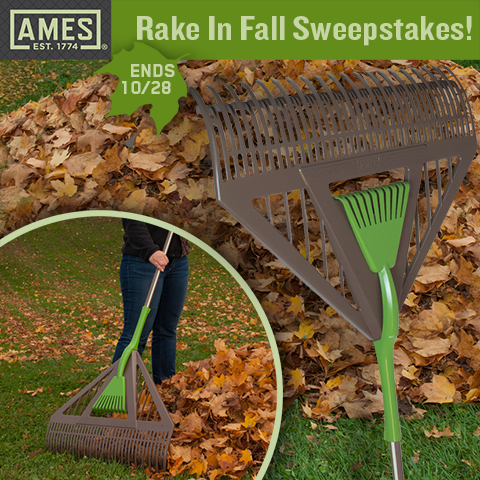 ames-rake-giveaway