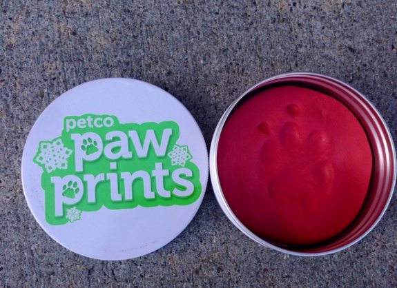 petc-paw-print