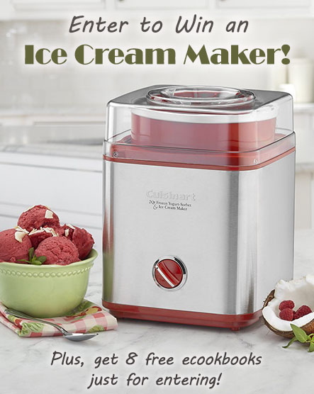 ice cream maker