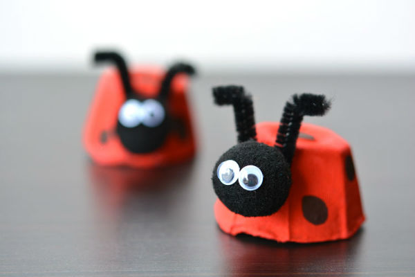 ladybugs