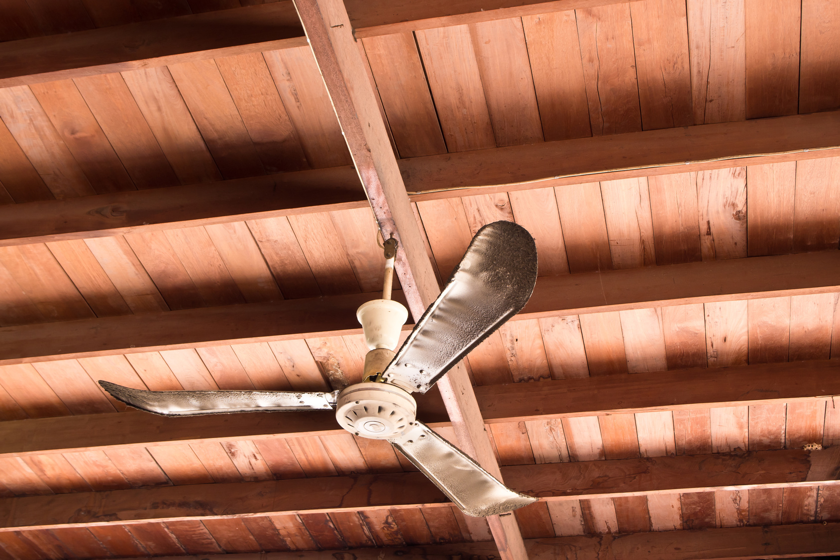 smart ceiling fan