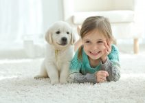 pets for kids