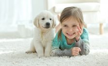 pets for kids