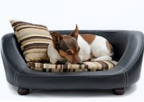luxury pet beds