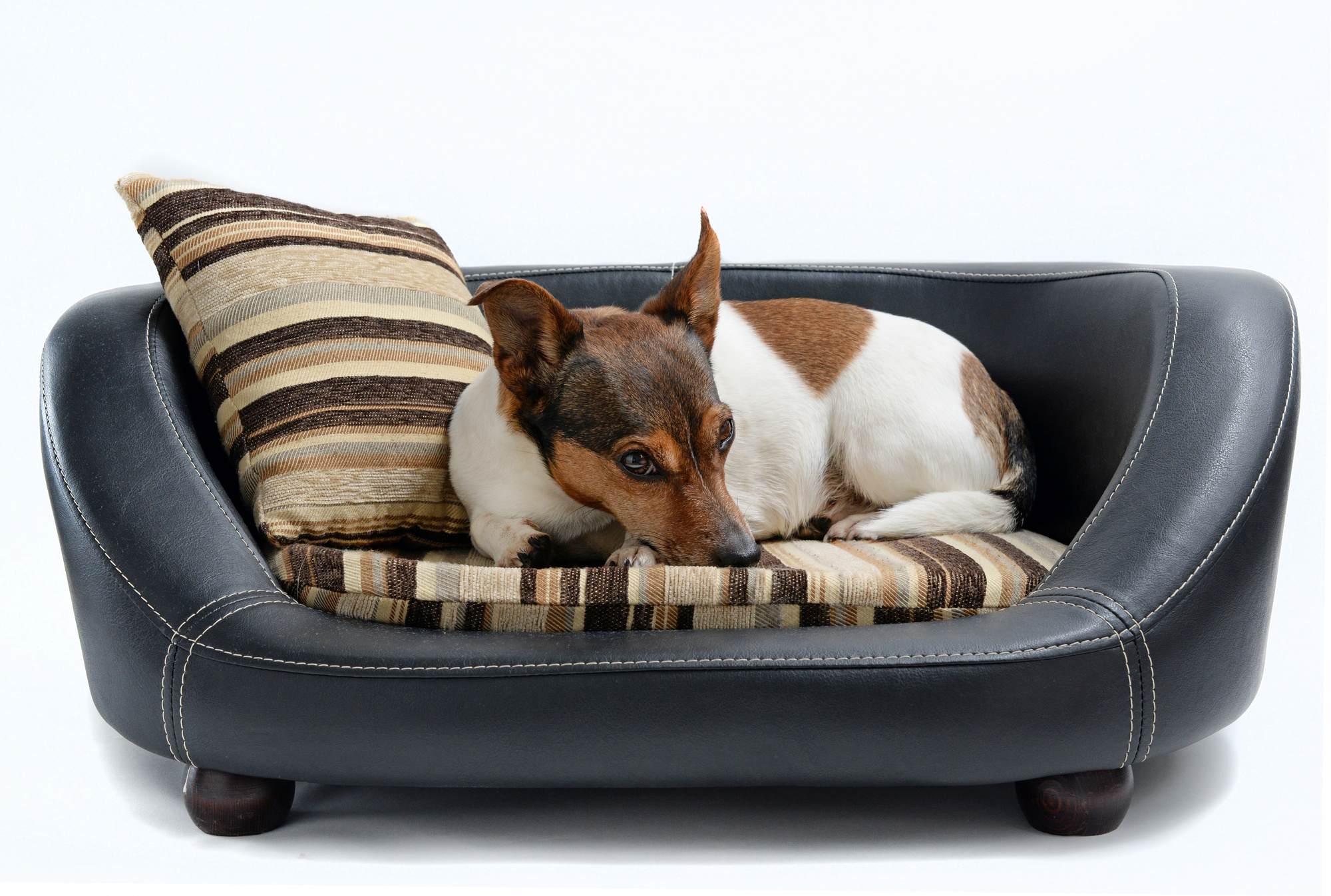 luxury pet beds