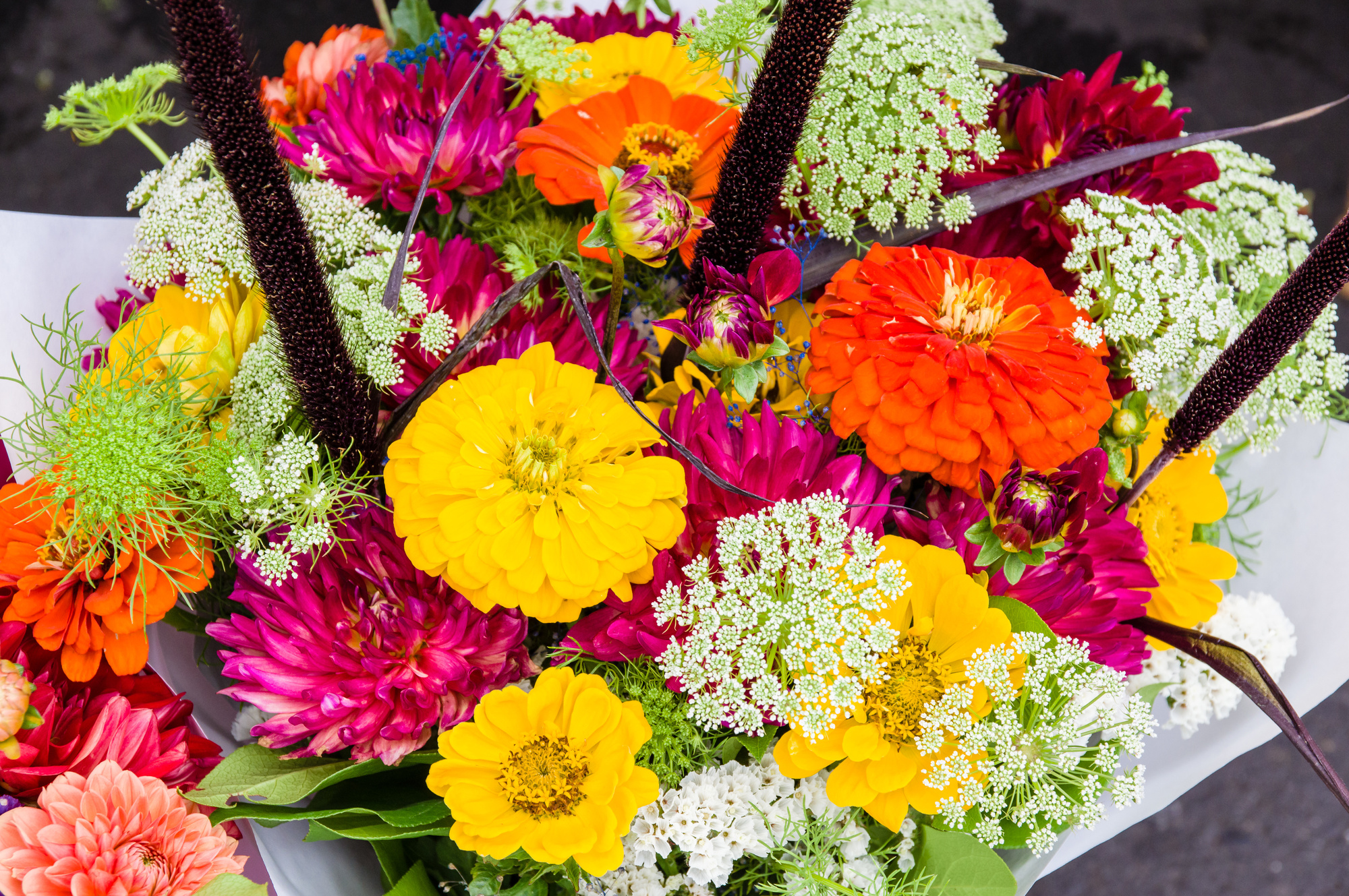 fresh cut flowers