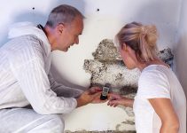 home pest inspection