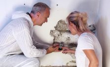home pest inspection