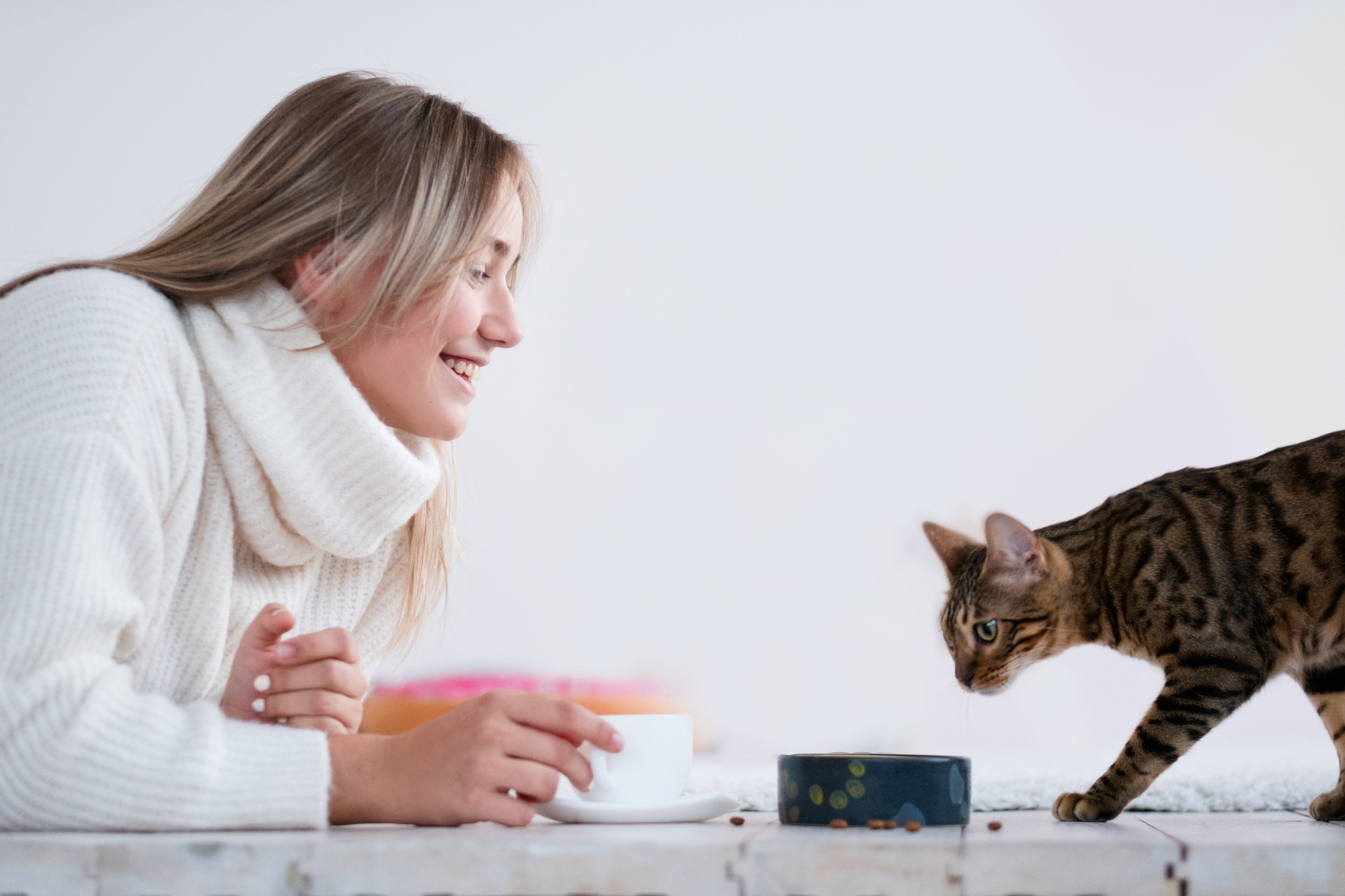 Женщина кормит кошек. Навыки кошек. Девочка сидит с кошкой аудирование. Женщина и кошка читают.
