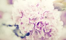 flowers for less