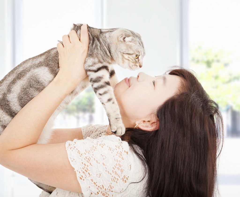 how to raise a cat