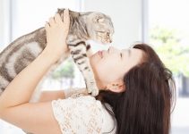 how to raise a cat