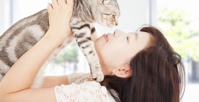 how to raise a cat