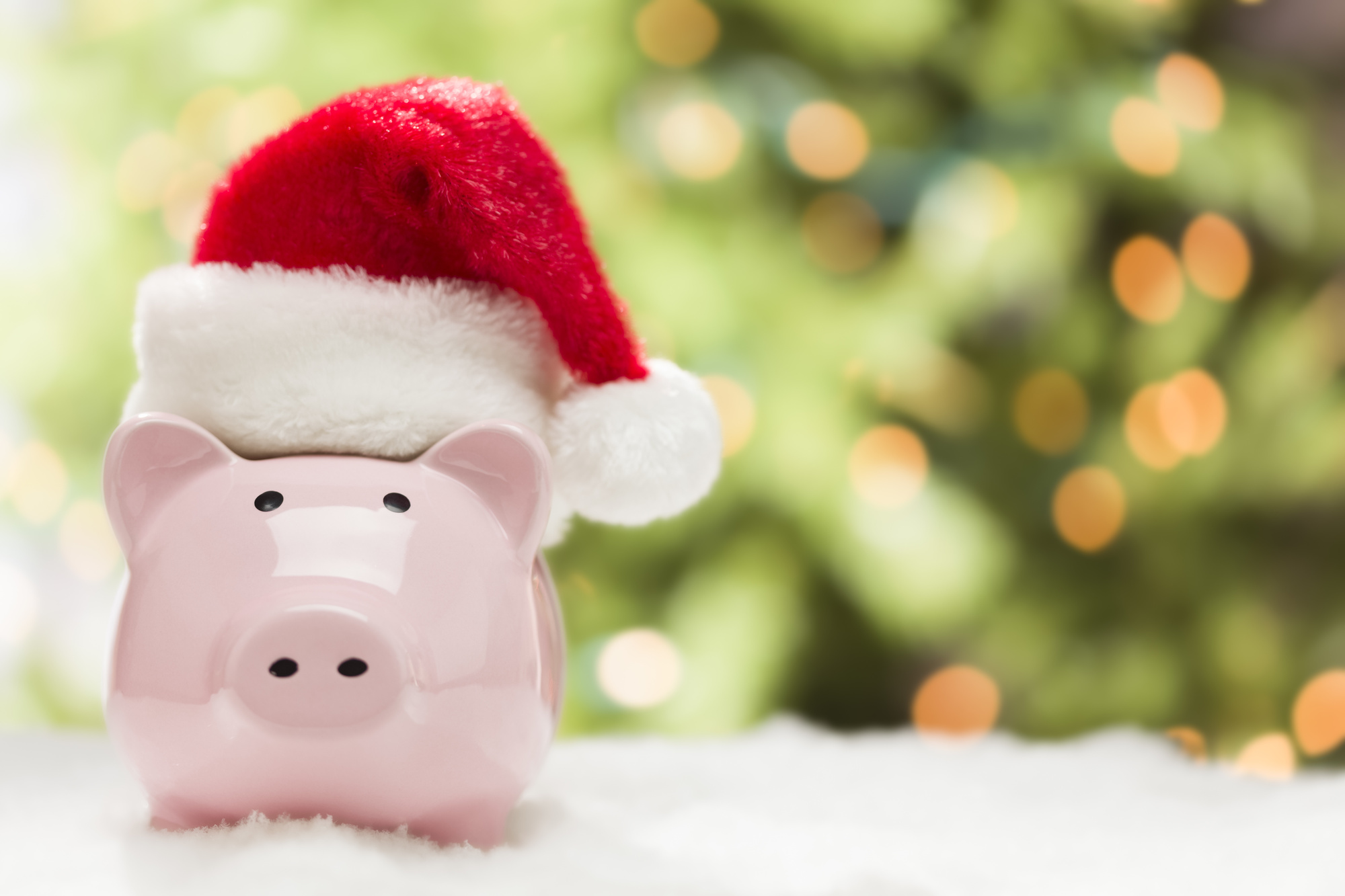 piggy bank with christmas hat