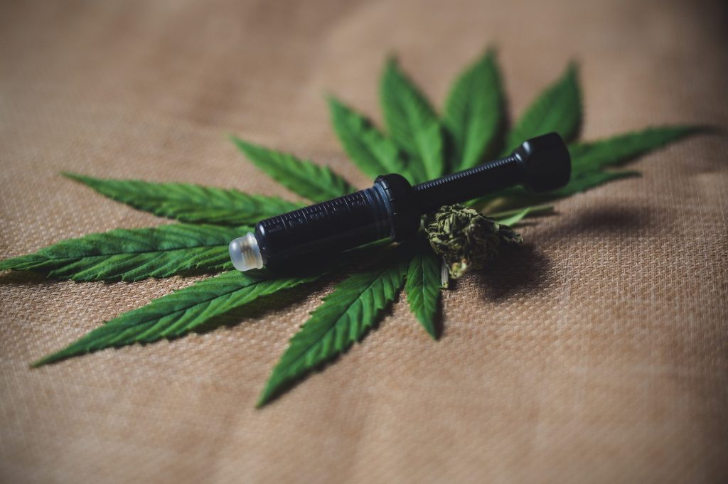 cbd oil and leaf