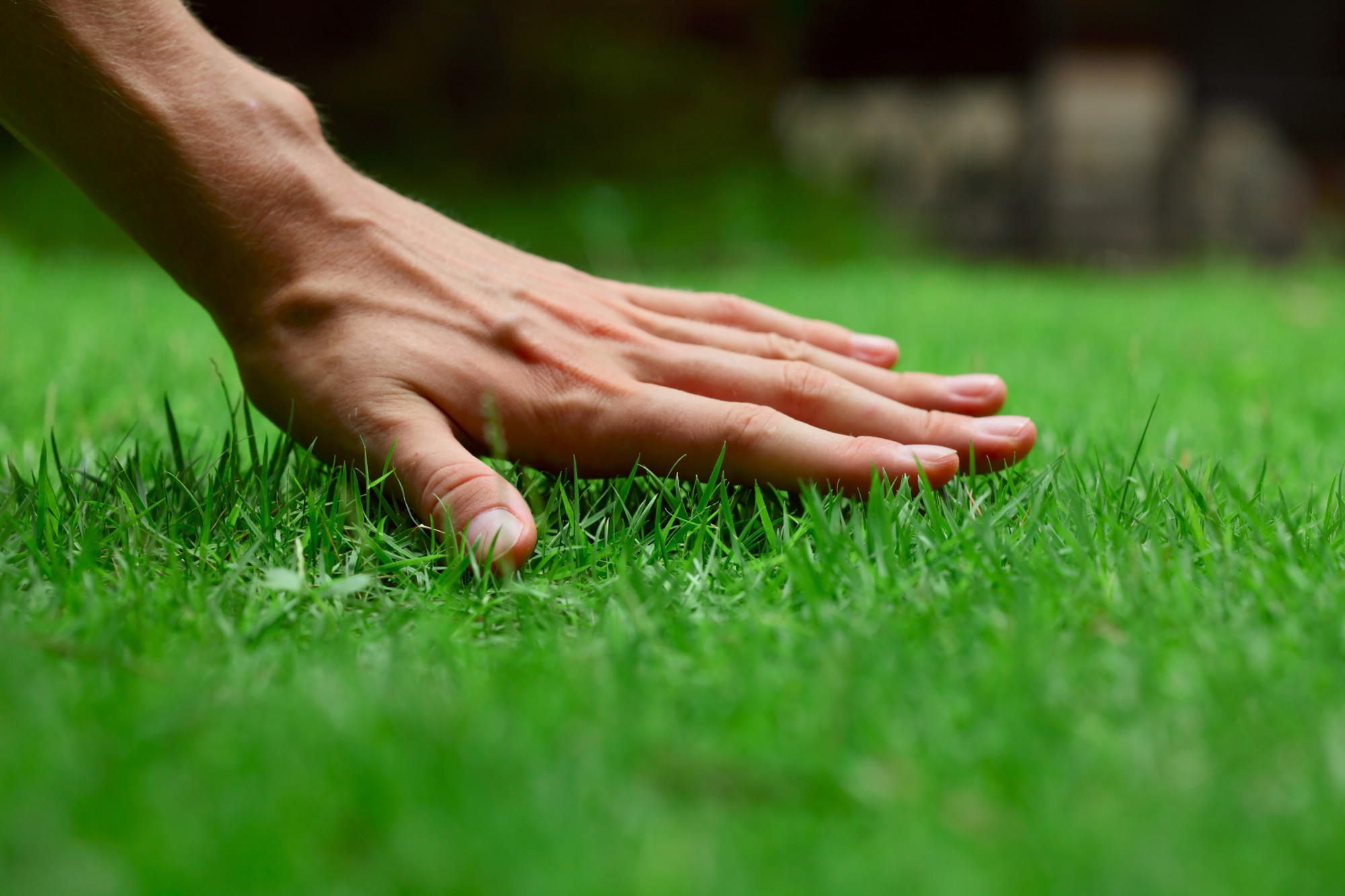 hand feeling lawn