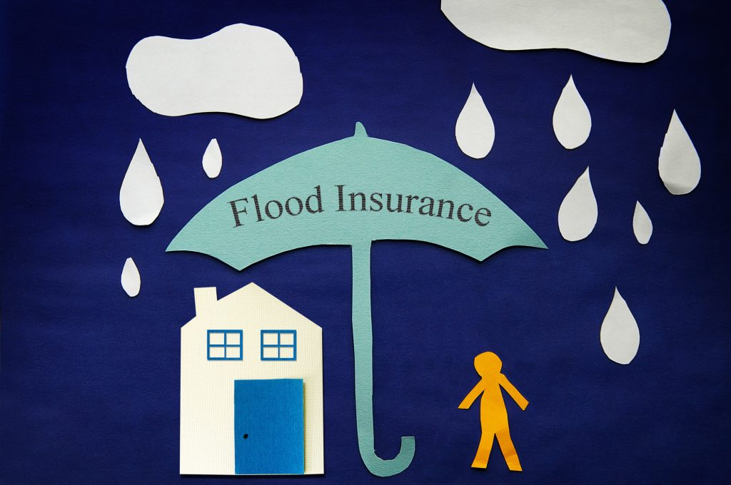 zone ve flood insurance cost