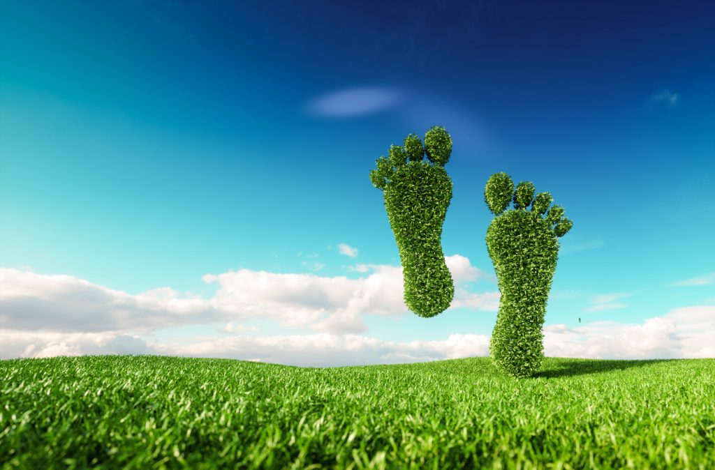 Reduce Carbon Footprints