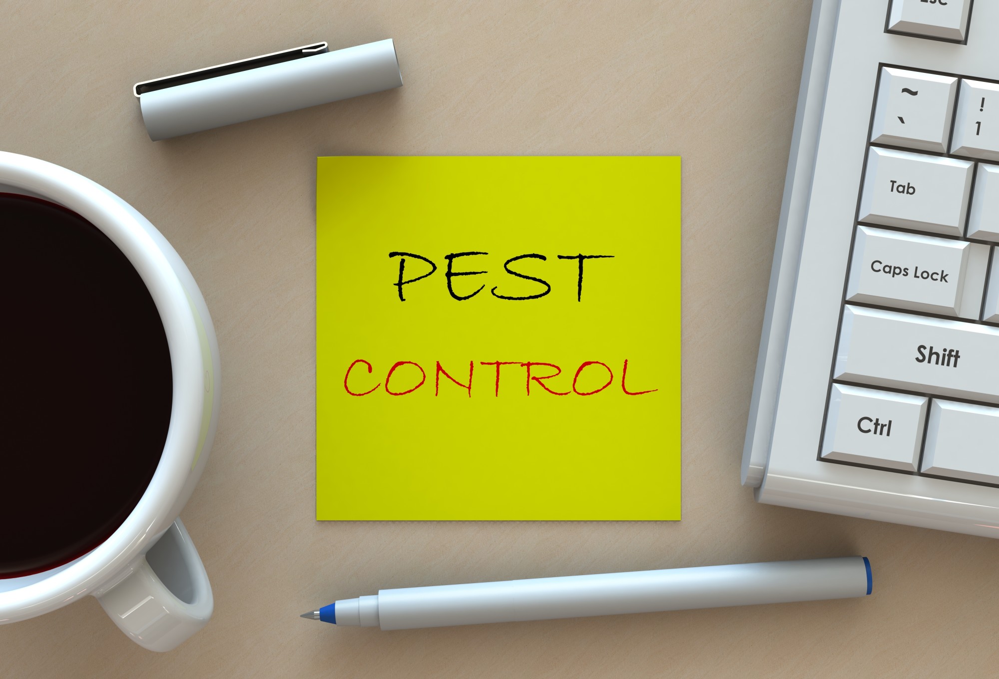 Pest Control Tips for Homeowners