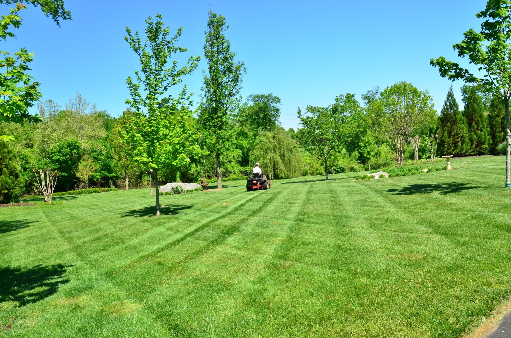 Lawn Care Services Prices