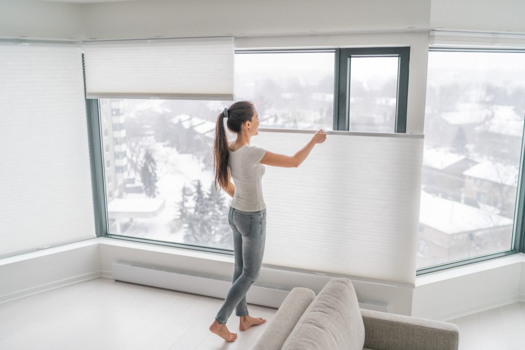 Types of Windows